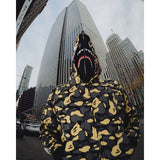 Bathing Ape Hoodie