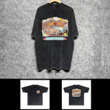 Amiri washed t-shirt lake view oil painting short sleeve