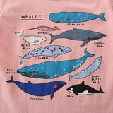 Boy T Shirt Summer Children's round Neck Cartoon T-shirt Cute Printed Girls' Top