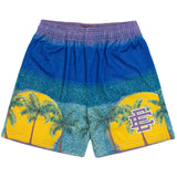Eric Emanuel EE Shorts Sports Casual plus Size Shorts Men's Hip Hop West Coast Beach Pants