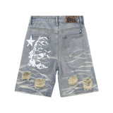 Men Shorts Ripped Denim Shorts