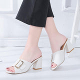 High Heels Slippers Summer Chunky Heel Word Fashion Belt Buckle High Heel plus Size Slippers