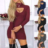 Burgundy Dress Formal Slim-Fit Solid Color Turtleneck Long Sleeve Dress