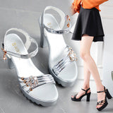 Women Platform Sandals Chunky Heel Waterproof Summer Fashion Ankle-Strap Buckle Sandals