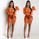 Kendall Jenner Wedding Guest Dress Mesh Digital Printing plus Size Tight Sexy