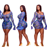 Kendall Jenner Wedding Guest Dress Mesh Digital Printing plus Size Tight Sexy