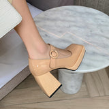 Nude Block Heels Spring Chunky Heel High Heels Women's Shoes