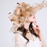 Big Hats Summer Ladies Fashion Cap Big Flower Fashion Net Gauze Cap Wide Brim Hat