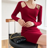 Long Sleeve Burgundy Dress Formal Autumn and Winter Slim Knit Dress for Women