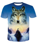 Skull T Shirt Skull Printed round Neck