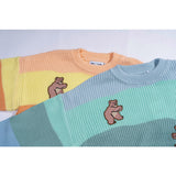 Man Fall Outfits Rainbow Striped Bear Embroidered Sweater Men's Loose Sweater