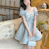 Regency Dress Palace Style Dress