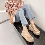 Platform Heels for Women Thick Bottom Woven Fish Mouth Increased By Transparent Slippers