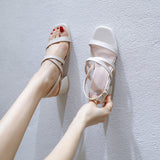Nude Block Heels Sandals Women's Summer Mid Heel Chunky Heel Soft Bottom High Heel Shoes