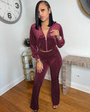 Velour Tracksuit Solid Color Silver Velvet Drawstring Zipper Wide-Leg Pants Two-Piece Set