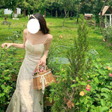 Regency Dress Chiffon Long Dress Gentle Platycodon Grandiflorum Suspender Skirt