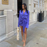 Taffeta Dress Fashionable Sexy High Elastic Long Sleeve Dress