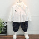 Toddler Boys Sweater Spring and Autumn Long Sleeve Shirt