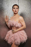 Lady Gaga Dress Sleeveless Pink Sexy Dress Performance Dress