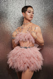 Lady Gaga Dress Sleeveless Pink Sexy Dress Performance Dress