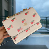 Strawberry Bags Printed Chain Crossbody Small Square Bag