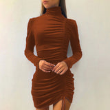 Long Sleeve Burgundy Dress Formal Dress for Women Fall Winter Fashion Long Sleeve Skinny Sheath