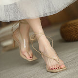 Nude Low Block Heel Transparent Clip Toe Herringbone Blype