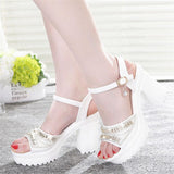 High Heels Slippers Peep Toe Shoes Thick Bottom Muffin Waterproof Word Buckled Chunky Heel Sandals