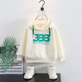Toddler Boys Sweater Children's Hooded Sweatshirt Spring and Autumn
