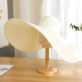 Big Hats Women's Korean-Style Casual Beach Hat Straw Hat