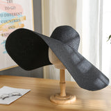 Big Hats Women's Korean-Style Casual Beach Hat Straw Hat
