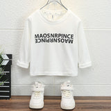 Toddler Boys Sweater Autumn Long Sleeve T-shirt Spring Leisure Loose
