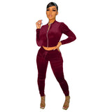 Velour Tracksuit Velvet Fabric Pocket Zipper Leisure Sports Suit