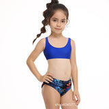 Children Swimsuit Girls' Split Swimsuit Swimwear