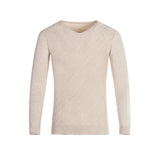 Men's Sweatshirt Fall Winter Men V-neck Slim Fit
