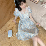 Regency Dress Palace Style Dress