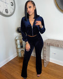 Velour Tracksuit Solid Color Silver Velvet Drawstring Zipper Wide-Leg Pants Two-Piece Set