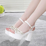 High Heels Slippers Peep Toe Shoes Thick Bottom Muffin Waterproof Word Buckled Chunky Heel Sandals