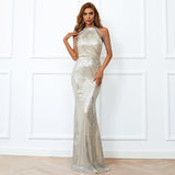Skin Tight Long Dresses Tassel Sequins Slim Dress