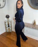 Velour Tracksuit Solid Color Silver Velvet Drawstring Zipper Wide-Leg Pants Two-Piece Set
