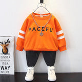 Toddler Boys Sweater Children's Clothing Boy's Hoody Handsome Spring and Autumn