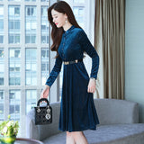 Blue Velvet Dress Pleuche Long Sleeve