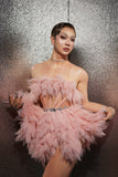 Lady Gaga Dress Sleeveless Pink Sexy Dress Performance Dress
